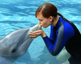 Miami Seaquarium