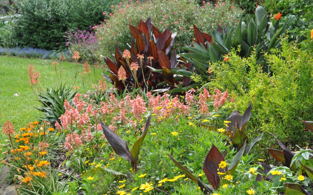 Mounts Botanical Gardens